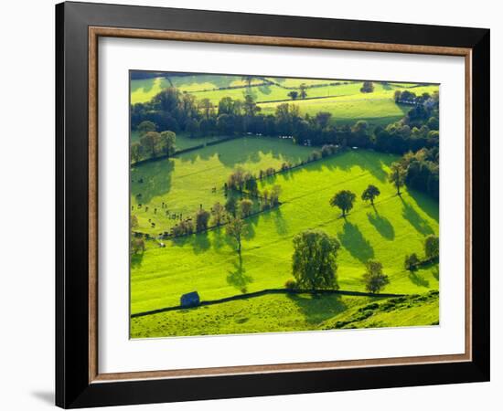 River Manifold Valley Near Ilam, Peak District National Park, Derbyshire, England-Alan Copson-Framed Photographic Print