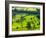 River Manifold Valley Near Ilam, Peak District National Park, Derbyshire, England-Alan Copson-Framed Photographic Print