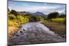 River Mendoza (Rio Mendoza) and the Andes Mountains at Uspallata, Mendoza Province, Argentina-Matthew Williams-Ellis-Mounted Photographic Print