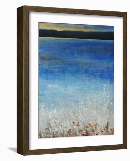 River Mist-Tim O'toole-Framed Giclee Print