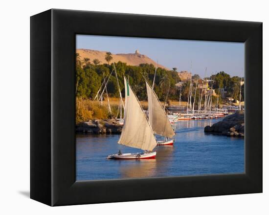 River Nile, Aswan, Upper Egypt, Egypt, North Africa, Africa-Alan Copson-Framed Premier Image Canvas