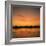 River Nile at Sunset, Water Reflecting Evening Sky, in Egypt, North Africa, Africa-Ken Wilson-Framed Photographic Print