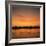 River Nile at Sunset, Water Reflecting Evening Sky, in Egypt, North Africa, Africa-Ken Wilson-Framed Photographic Print