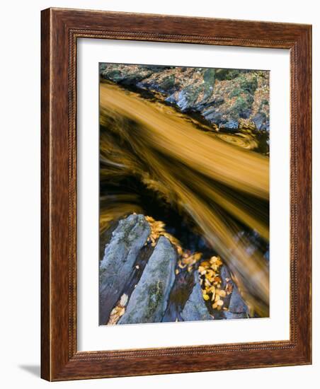 River North Esk Loaded with Beech Leaves, Angus, Scotland, UK, October 2007-Niall Benvie-Framed Photographic Print