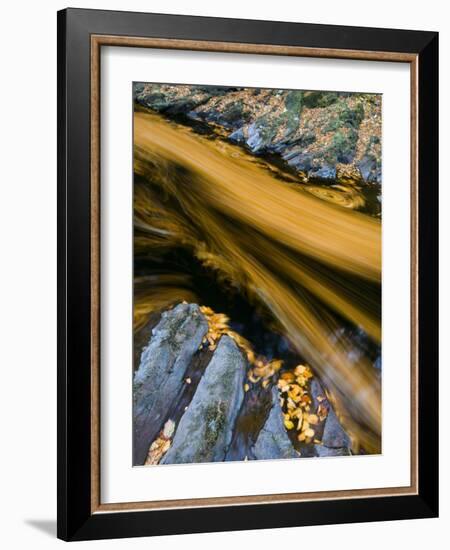 River North Esk Loaded with Beech Leaves, Angus, Scotland, UK, October 2007-Niall Benvie-Framed Photographic Print