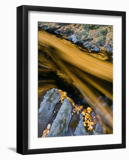 River North Esk Loaded with Beech Leaves, Angus, Scotland, UK, October 2007-Niall Benvie-Framed Photographic Print