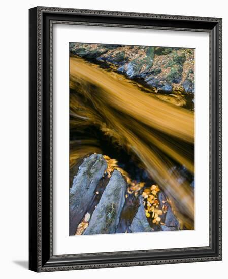 River North Esk Loaded with Beech Leaves, Angus, Scotland, UK, October 2007-Niall Benvie-Framed Photographic Print