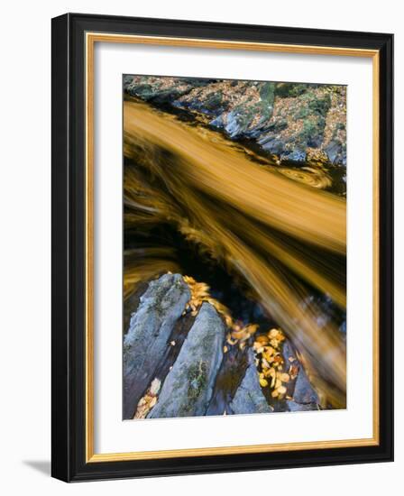 River North Esk Loaded with Beech Leaves, Angus, Scotland, UK, October 2007-Niall Benvie-Framed Photographic Print