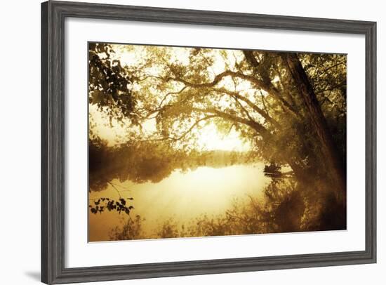 River Oaks II-Alan Hausenflock-Framed Photographic Print