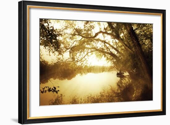 River Oaks II-Alan Hausenflock-Framed Photographic Print