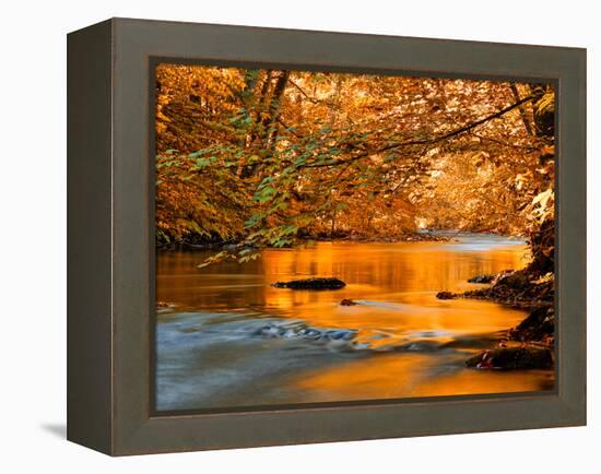 River of Dreams-Philippe Sainte-Laudy-Framed Premier Image Canvas