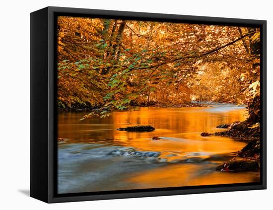 River of Dreams-Philippe Sainte-Laudy-Framed Premier Image Canvas