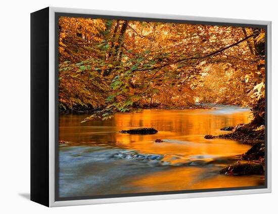 River of Dreams-Philippe Sainte-Laudy-Framed Premier Image Canvas