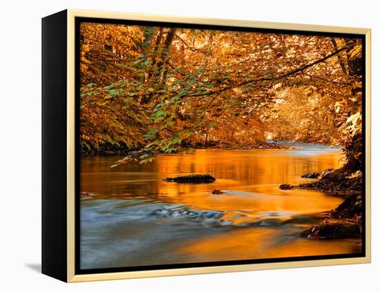 River of Dreams-Philippe Sainte-Laudy-Framed Premier Image Canvas