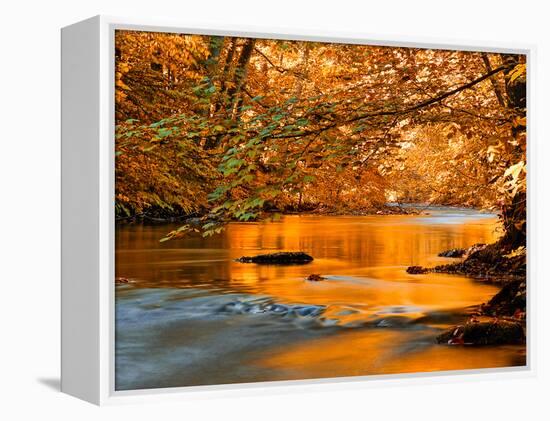 River of Dreams-Philippe Sainte-Laudy-Framed Premier Image Canvas