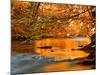 River of Dreams-Philippe Sainte-Laudy-Mounted Premium Photographic Print