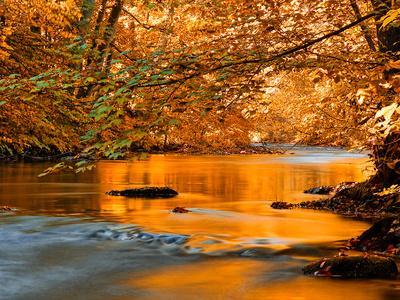 River Of Dreams Photographic Print Philippe Sainte Laudy Art Com
