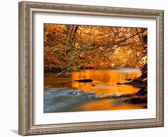 River of Dreams-Philippe Sainte-Laudy-Framed Photographic Print