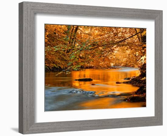 River of Dreams-Philippe Sainte-Laudy-Framed Photographic Print