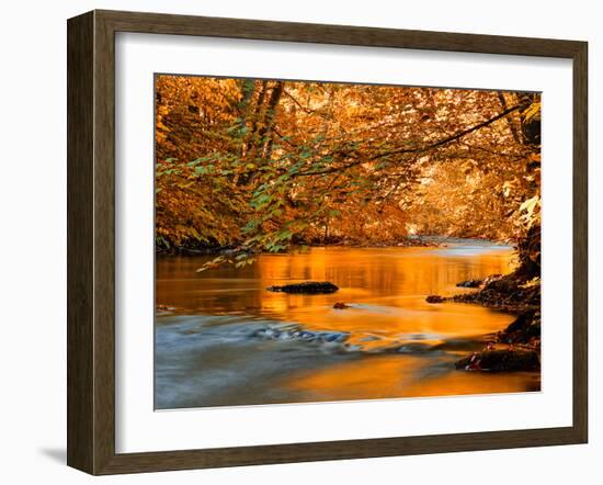 River of Dreams-Philippe Sainte-Laudy-Framed Photographic Print