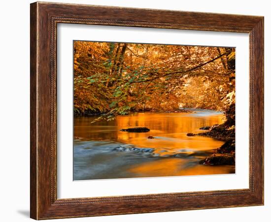 River of Dreams-Philippe Sainte-Laudy-Framed Photographic Print