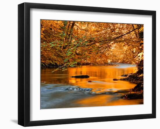 River of Dreams-Philippe Sainte-Laudy-Framed Photographic Print