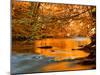 River of Dreams-Philippe Sainte-Laudy-Mounted Photographic Print