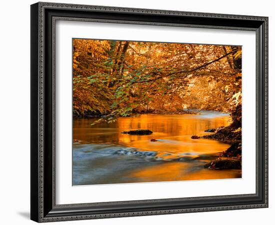 River of Dreams-Philippe Sainte-Laudy-Framed Photographic Print