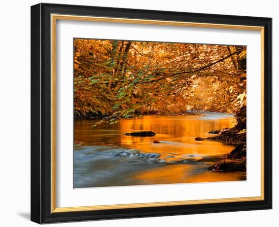 River of Dreams-Philippe Sainte-Laudy-Framed Photographic Print