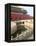 River of Gold, Forbidden City, Beijing, China, Asia-Kimberly Walker-Framed Premier Image Canvas