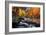 River of Gold-Mike Jones-Framed Giclee Print