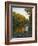 River of Gold-Bruce Dumas-Framed Giclee Print