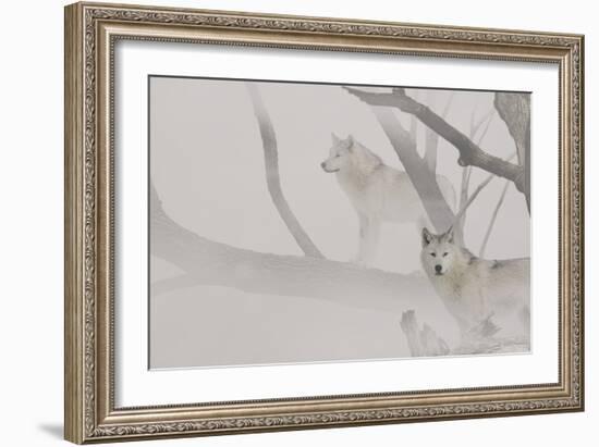 River of Mist-Gordon Semmens-Framed Photographic Print