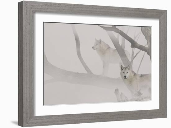 River of Mist-Gordon Semmens-Framed Photographic Print