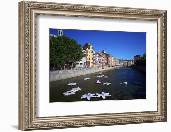 River Onyar During the Flower Festival, Girona, Catalonia, Spain-Rob Cousins-Framed Photographic Print