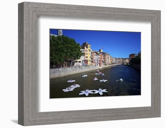 River Onyar During the Flower Festival, Girona, Catalonia, Spain-Rob Cousins-Framed Photographic Print