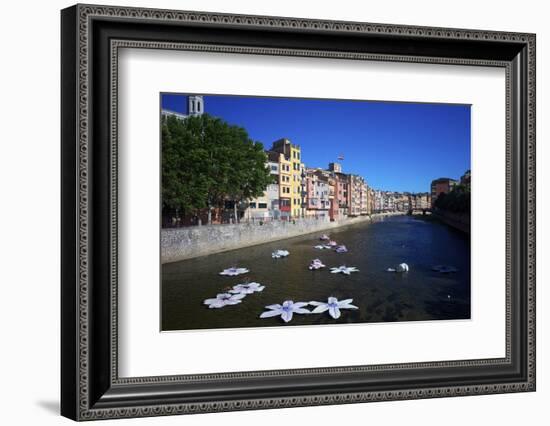 River Onyar During the Flower Festival, Girona, Catalonia, Spain-Rob Cousins-Framed Photographic Print