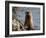 River Otter (Lutra Canadensis), Near Nanaimo, British Columbia, Canada, North America-James Hager-Framed Photographic Print