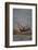 River Otter on Driftwood-DLILLC-Framed Photographic Print