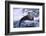 River Otter on Ice by River-DLILLC-Framed Photographic Print