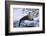 River Otter on Icy Riverbank-DLILLC-Framed Photographic Print