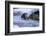 River Otter on Icy Riverbank-DLILLC-Framed Photographic Print