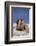 River Otter-DLILLC-Framed Photographic Print