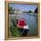 River Ouse Boating, Ely, Cambridgeshire, England-Roy Rainford-Framed Premier Image Canvas