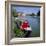 River Ouse Boating, Ely, Cambridgeshire, England-Roy Rainford-Framed Photographic Print