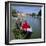 River Ouse Boating, Ely, Cambridgeshire, England-Roy Rainford-Framed Photographic Print