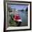 River Ouse Boating, Ely, Cambridgeshire, England-Roy Rainford-Framed Photographic Print