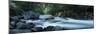 River Passing Through a Forest, Nantahala Falls, Nantahala National Forest, North Carolina, USA-null-Mounted Photographic Print