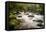 River Plym Flowing Fast Through Dewerstone Wood, Shaugh Prior, Dartmoor Np Devon, UK, October-Ross Hoddinott-Framed Premier Image Canvas