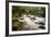 River Plym Flowing Fast Through Dewerstone Wood, Shaugh Prior, Dartmoor Np Devon, UK, October-Ross Hoddinott-Framed Photographic Print